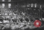 Image Cadets du Corps aérien de la marine de Tsuchiura Préfecture d'Ibaraki, Japon, 1937, de la seconde 57 séquences d'archives historiques vidéo 65675080323
