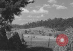 Image of Upstate New York rural highway New York United States USA, 1938, second 53 stock footage video 65675080326