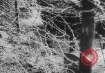 Image of Luxembourg German invasion WW2 Luxembourg, 1940, second 1 stock footage video 65675080330