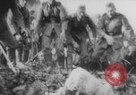 Image of German Army engineers bridge construction Malmedy Belgium, 1940, second 3 stock footage video 65675080331
