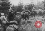 Image of German Army engineers bridge construction Malmedy Belgium, 1940, second 35 stock footage video 65675080331