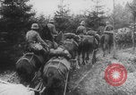 Image of German Army engineers bridge construction Malmedy Belgium, 1940, second 36 stock footage video 65675080331