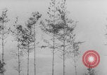 Image of German troops onboard Junkers JU-52 Freiburg im Breisgau Germany, 1940, second 54 stock footage video 65675080332