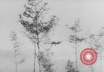 Image of German troops onboard Junkers JU-52 Freiburg im Breisgau Germany, 1940, second 56 stock footage video 65675080332