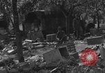 Standbild Chambois deutsches Fahrzeugwrack Chambois Frankreich, 1944, aus Sekunde 7 historischem Filmmaterial Videoclip 65675080334