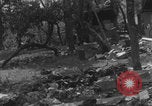 Standbild Chambois deutsches Fahrzeugwrack Chambois Frankreich, 1944, aus Sekunde 12 historischem Filmmaterial Videoclip 65675080334