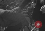 Image of Liberation of Paris 1944 Paris France, 1944, second 52 stock footage video 65675080344
