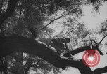 Image of KLV Kinderlandverschickung Chieming Germany, 1943, second 59 stock footage video 65675080345