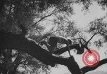 Image of KLV Kinderlandverschickung Chieming Germany, 1943, second 60 stock footage video 65675080345