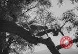 Image of KLV Kinderlandverschickung Chieming Germany, 1943, second 61 stock footage video 65675080345