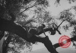 Image of KLV Kinderlandverschickung Chieming Germany, 1943, second 62 stock footage video 65675080345
