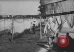 Image of Hitler Youth boys activities Chieming Germany, 1943, second 58 stock footage video 65675080346