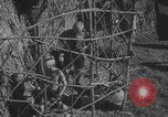 Standbild Hitlerjugend-Zeltplatz Chieming Deutschland, 1943, aus Sekunde 52 historischem Filmmaterial Videoclip 65675080347