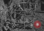 Standbild Hitlerjugend-Zeltplatz Chieming Deutschland, 1943, aus Sekunde 54 historischem Filmmaterial Videoclip 65675080347