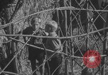 Standbild Hitlerjugend-Zeltplatz Chieming Deutschland, 1943, aus Sekunde 62 historischem Filmmaterial Videoclip 65675080347