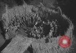 Standbild Hitlerjugend-Lagerversammlung Chieming Deutschland, 1943, aus Sekunde 32 historischem Filmmaterial Videoclip 65675080349