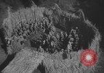 Standbild Hitlerjugend-Lagerversammlung Chieming Deutschland, 1943, aus Sekunde 35 historischem Filmmaterial Videoclip 65675080349