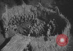 Standbild Hitlerjugend-Lagerversammlung Chieming Deutschland, 1943, aus Sekunde 37 historischem Filmmaterial Videoclip 65675080349