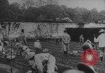 Image of Indochinese troops growing vegetables France, 1918, second 13 stock footage video 65675080353