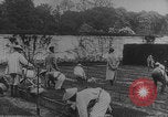 Image of Indochinese troops growing vegetables France, 1918, second 14 stock footage video 65675080353