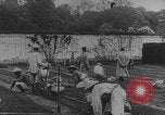 Image of Indochinese troops growing vegetables France, 1918, second 15 stock footage video 65675080353