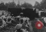 Image of Indochinese troops growing vegetables France, 1918, second 16 stock footage video 65675080353