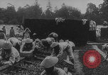 Image of Indochinese troops growing vegetables France, 1918, second 17 stock footage video 65675080353