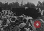 Image of Indochinese troops growing vegetables France, 1918, second 18 stock footage video 65675080353