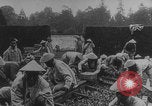 Image of Indochinese troops growing vegetables France, 1918, second 22 stock footage video 65675080353