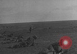 Image of Senegalese colonial troops training France, 1918, second 41 stock footage video 65675080356