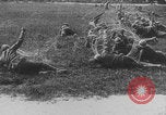 Image of French colonial troops WW1 France, 1918, second 6 stock footage video 65675080360