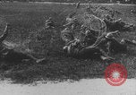 Image of French colonial troops WW1 France, 1918, second 7 stock footage video 65675080360