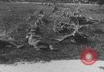 Image of French colonial troops WW1 France, 1918, second 10 stock footage video 65675080360