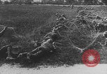 Image of French colonial troops WW1 France, 1918, second 14 stock footage video 65675080360