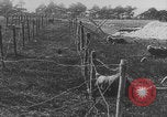Image of French colonial troops WW1 France, 1918, second 24 stock footage video 65675080360