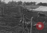 Image of French colonial troops WW1 France, 1918, second 25 stock footage video 65675080360
