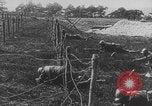 Image of French colonial troops WW1 France, 1918, second 27 stock footage video 65675080360