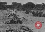 Image of French colonial troops WW1 France, 1918, second 48 stock footage video 65675080360