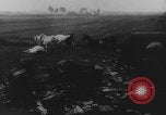 Image of Germany invades abandoned Dunkirk France, 1940, second 20 stock footage video 65675080366
