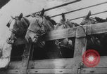 Image of Dunkirk Germans regroup France, 1940, second 38 stock footage video 65675080368