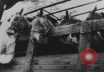 Image of Dunkirk Germans regroup France, 1940, second 40 stock footage video 65675080368