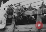 Image of Dunkirk Germans regroup France, 1940, second 41 stock footage video 65675080368