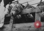 Image of Dunkirk Germans regroup France, 1940, second 42 stock footage video 65675080368