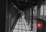 Image of subway pedestrians NYC WW2 New York City USA, 1944, second 8 stock footage video 65675080370