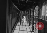 Image of subway pedestrians NYC WW2 New York City USA, 1944, second 11 stock footage video 65675080370