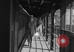 Image of subway pedestrians NYC WW2 New York City USA, 1944, second 13 stock footage video 65675080370