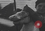 Image of children ride carousel Italy, 1950, second 59 stock footage video 65675080391