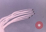 Image of Tushino Airfield show Moscow Russia Soviet Union, 1962, second 16 stock footage video 65675080400