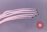 Image of Tushino Airfield show Moscow Russia Soviet Union, 1962, second 17 stock footage video 65675080400