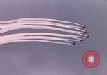 Image of Tushino Airfield show Moscow Russia Soviet Union, 1962, second 18 stock footage video 65675080400